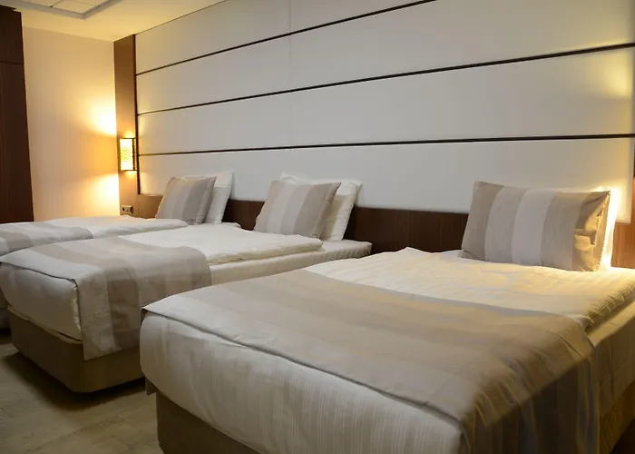 Safa Royal Museum 3* Konya