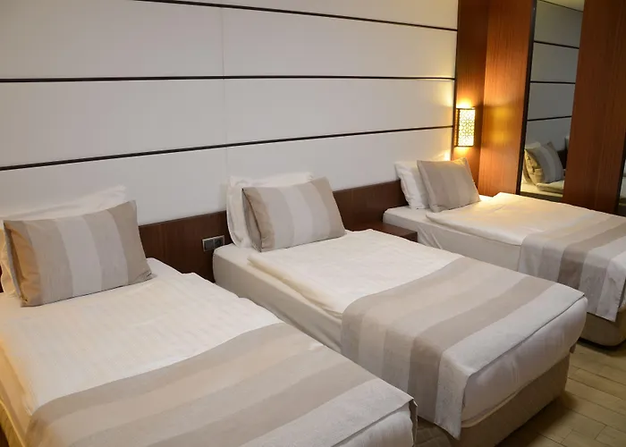 Safa Royal Museum Hotel