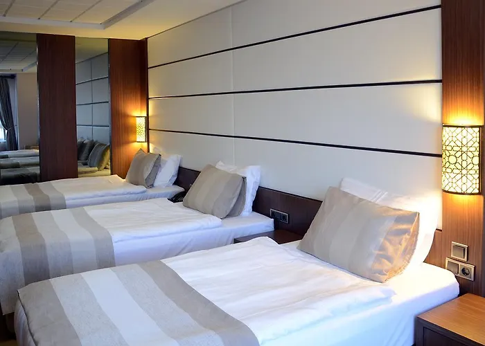 Safa Royal Museum 3*